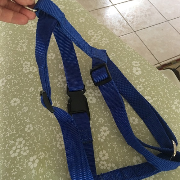 Blue Dog Harness for Large Dogs - Picture 5 of 9